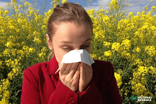 Dealing with allergies naturally