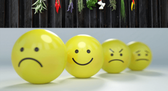 What Are Adaptogenic Herbs and What Do They Do?