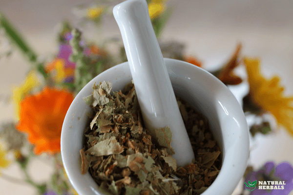 Cortisol Lowering Herbs