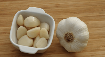The Healing Properties of Garlic